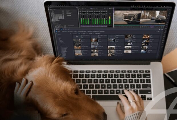 Avid Nexis | Edge Bundle Pack Adobe Premiere Pro Media Composer Server HPE Proliant DL160 free session Avid Italia news audiofader.com